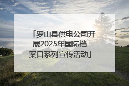 罗山县供电公司开展2025年国际档案日系列宣传活动