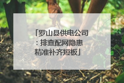 罗山县供电公司：排查配网隐患 精准补齐短板