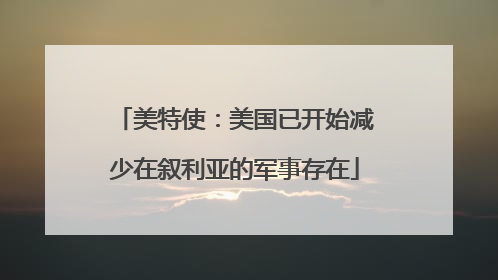 美特使：美国已开始减少在叙利亚的军事存在