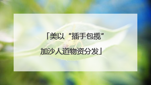 美以“插手包揽”加沙人道物资分发