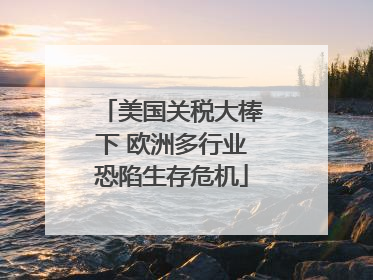 美国关税大棒下 欧洲多行业恐陷生存危机