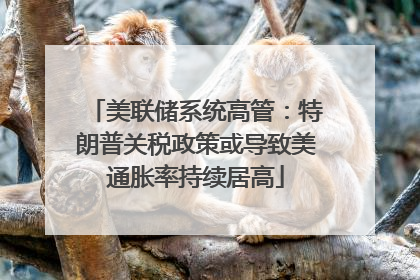 美联储系统高管：特朗普关税政策或导致美通胀率持续居高