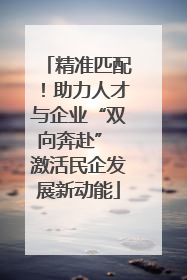 精准匹配！助力人才与企业“双向奔赴” 激活民企发展新动能