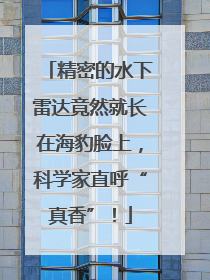 精密的水下雷达竟然就长在海豹脸上，科学家直呼“真香”！