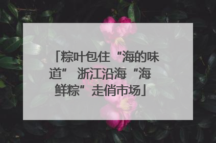粽叶包住“海的味道” 浙江沿海“海鲜粽”走俏市场