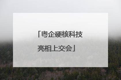 粤企硬核科技亮相上交会