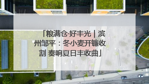 粮满仓·好丰光｜滨州邹平：冬小麦开镰收割 奏响夏日丰收曲