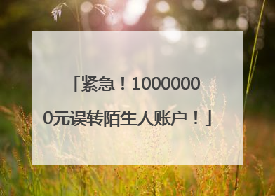 紧急！10000000元误转陌生人账户！