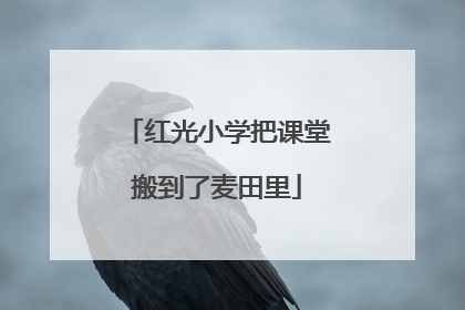 红光小学把课堂搬到了麦田里