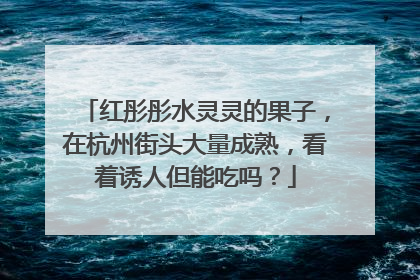 红彤彤水灵灵的果子，在杭州街头大量成熟，看着诱人但能吃吗？