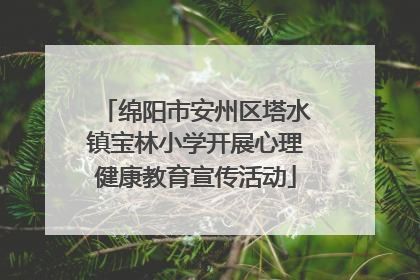 绵阳市安州区塔水镇宝林小学开展心理健康教育宣传活动