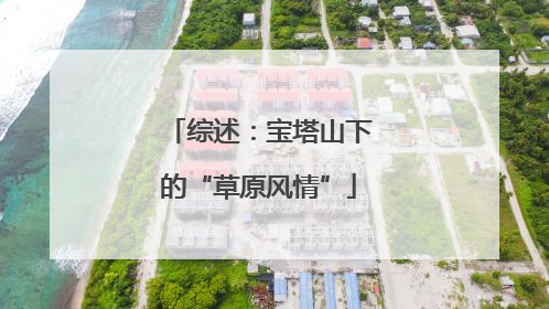 综述：宝塔山下的“草原风情”