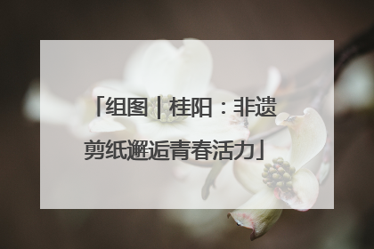 组图｜桂阳：非遗剪纸邂逅青春活力