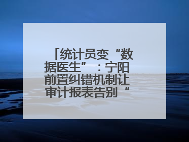 统计员变“数据医生”：宁阳前置纠错机制让审计报表告别“带病上岗”
