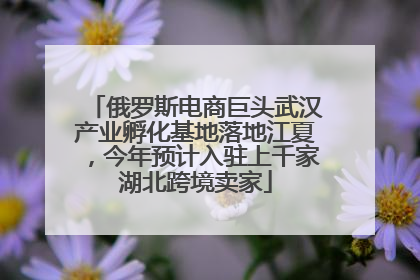 俄罗斯电商巨头武汉产业孵化基地落地江夏，今年预计入驻上千家湖北跨境卖家