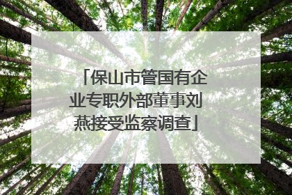 保山市管国有企业专职外部董事刘燕接受监察调查