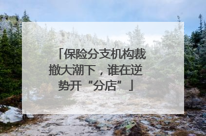 保险分支机构裁撤大潮下，谁在逆势开“分店”