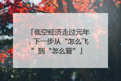 低空经济走过元年，下一步从“怎么飞”到“怎么管”