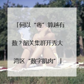 何以“粤”算越有数？韶关集群开秀大湾区“数字肌肉”