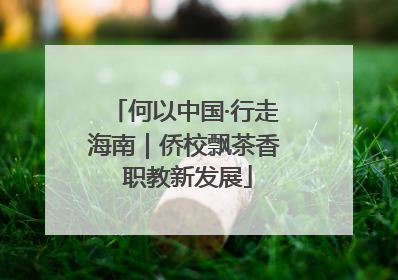 何以中国·行走海南｜侨校飘茶香 职教新发展