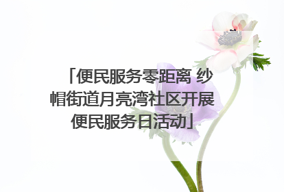 便民服务零距离 纱帽街道月亮湾社区开展便民服务日活动