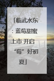 临武水东：蓝莓甜蜜上市 开启“莓”好初夏