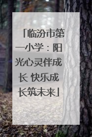 临汾市第一小学：阳光心灵伴成长 快乐成长筑未来