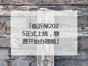 临沂保2025正式上线，缴费开始办理啦