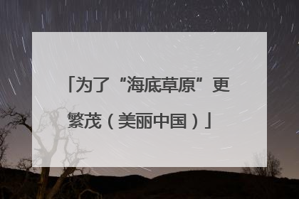 为了“海底草原”更繁茂（美丽中国）