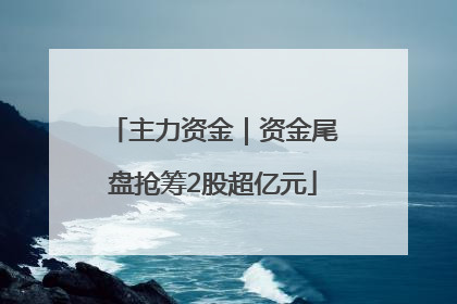 主力资金｜资金尾盘抢筹2股超亿元