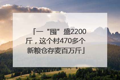 一“囤”盛2200斤，这个村470多个新粮仓存麦百万斤