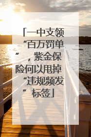 一中支领“百万罚单”，紫金保险何以甩掉“违规频发”标签