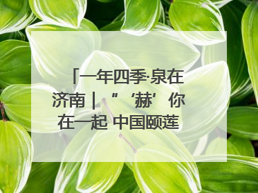 一年四季·泉在济南｜“‘赫’你在一起 中国颐莲喷雾节”：解锁济南夏日消费热潮中的国货新势力