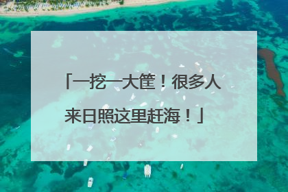 一挖一大筐！很多人来日照这里赶海！