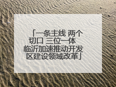 一条主线 两个切口 三位一体 临沂加速推动开发区建设领域改革