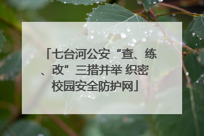 七台河公安“查、练、改”三措并举 织密校园安全防护网