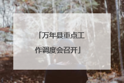 万年县重点工作调度会召开