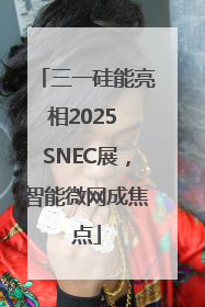 三一硅能亮相2025 SNEC展，智能微网成焦点