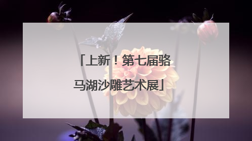 上新！第七届骆马湖沙雕艺术展