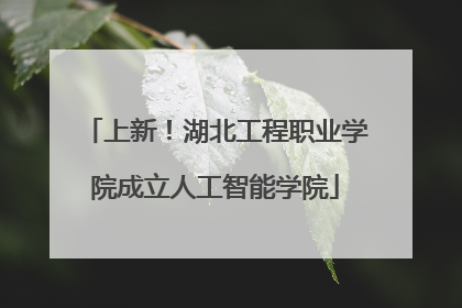 上新！湖北工程职业学院成立人工智能学院