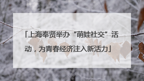 上海奉贤举办“萌娃社交”活动，为青春经济注入新活力