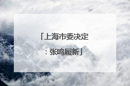 上海市委决定：张鸣履新