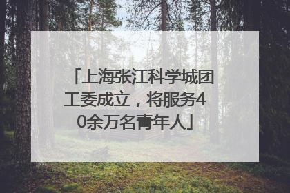 上海张江科学城团工委成立，将服务40余万名青年人