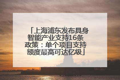 上海浦东发布具身智能产业支持16条政策：单个项目支持额度最高可达亿级
