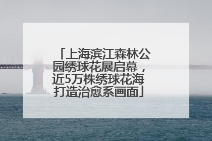 上海滨江森林公园绣球花展启幕，近5万株绣球花海打造治愈系画面