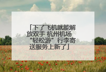 下了飞机就能解放双手 杭州机场“轻松游”行李寄送服务上新了