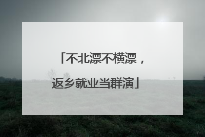 不北漂不横漂，返乡就业当群演