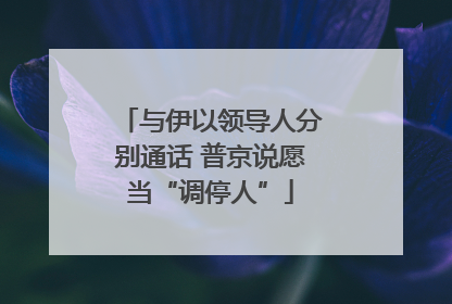 与伊以领导人分别通话 普京说愿当“调停人”