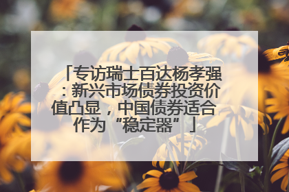 专访瑞士百达杨孝强：新兴市场债券投资价值凸显，中国债券适合作为“稳定器”