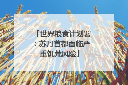 世界粮食计划署：苏丹首都面临严重饥荒风险